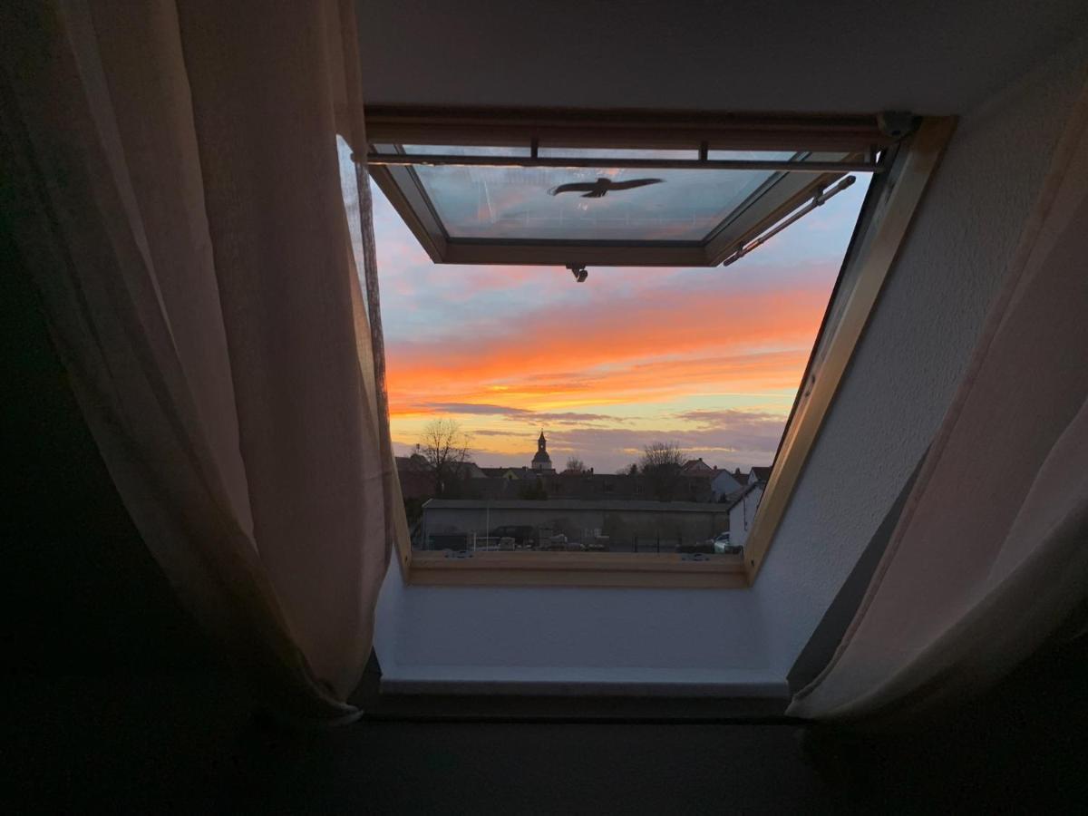 Ferienwohnung Oelzschau - Urlaub Im Leipziger Neuseenland Rötha Exteriör bild